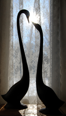 Geese Through Rays
