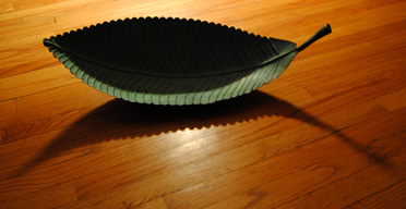 Leaf